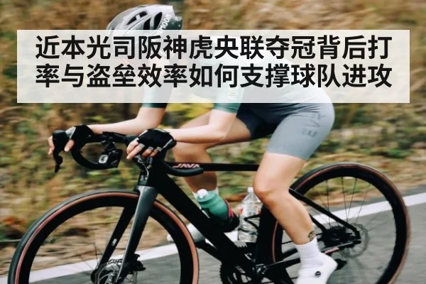 近本光司阪神虎央联夺冠背后打率与盗垒效率如何支撑球队进攻